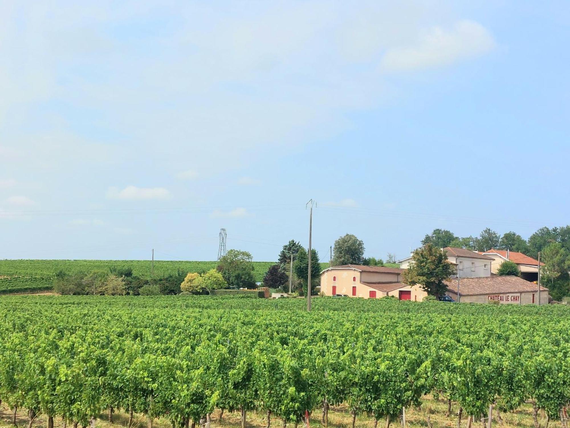 Saint-Seurin-de-CursacDuplex Cocoon - 10 Min De Blaye - 20 Min Cnpe - Wifi - Tv Hdアパートメント エクステリア 写真
